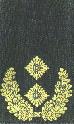 GenMaj